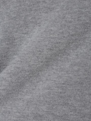 Sweat-shirt DENHAM en gris