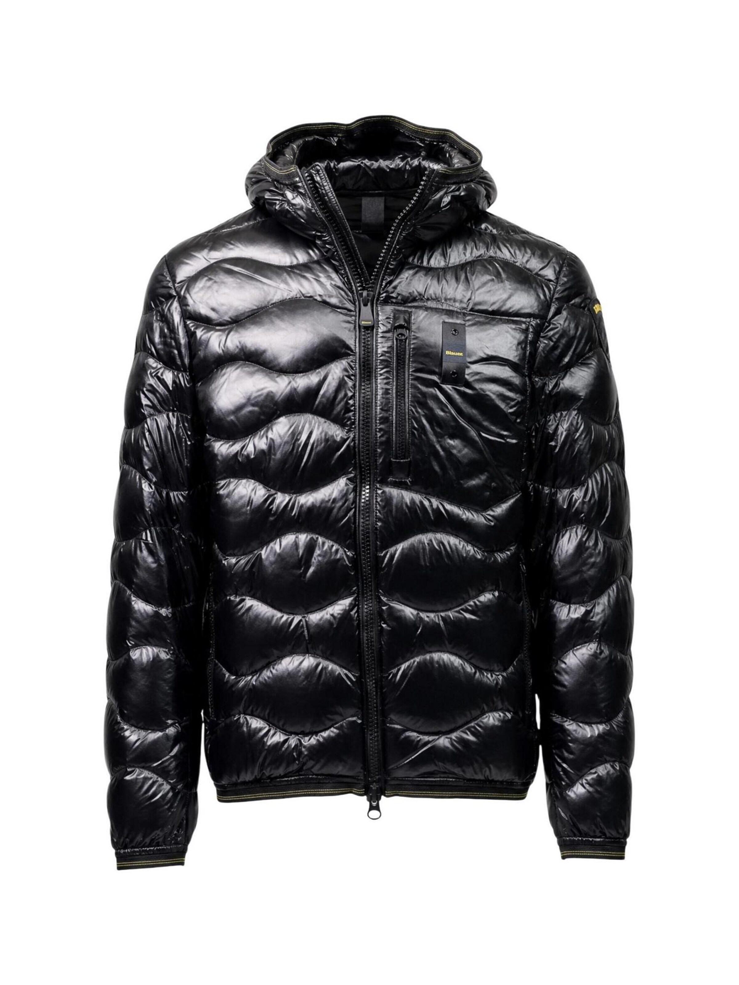 Blauer. Winterjacke 'WAVE 26WBLUC03064'‌‌‌‌ in Schwarz: Vorderseite