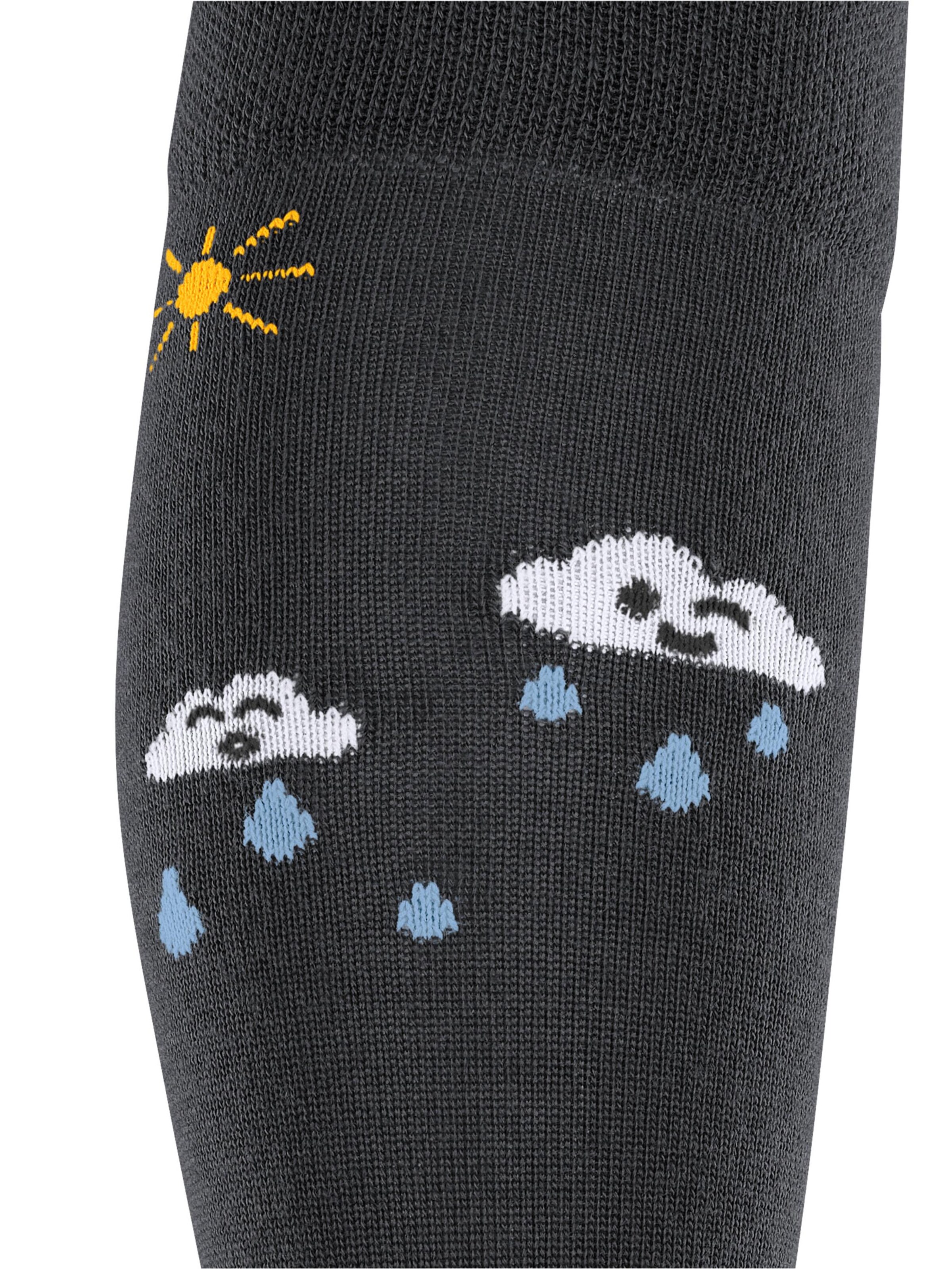 FALKE Socks 'Active Rainboot' in Blue