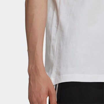 ADIDAS ORIGINALS T-Shirt in Weiß