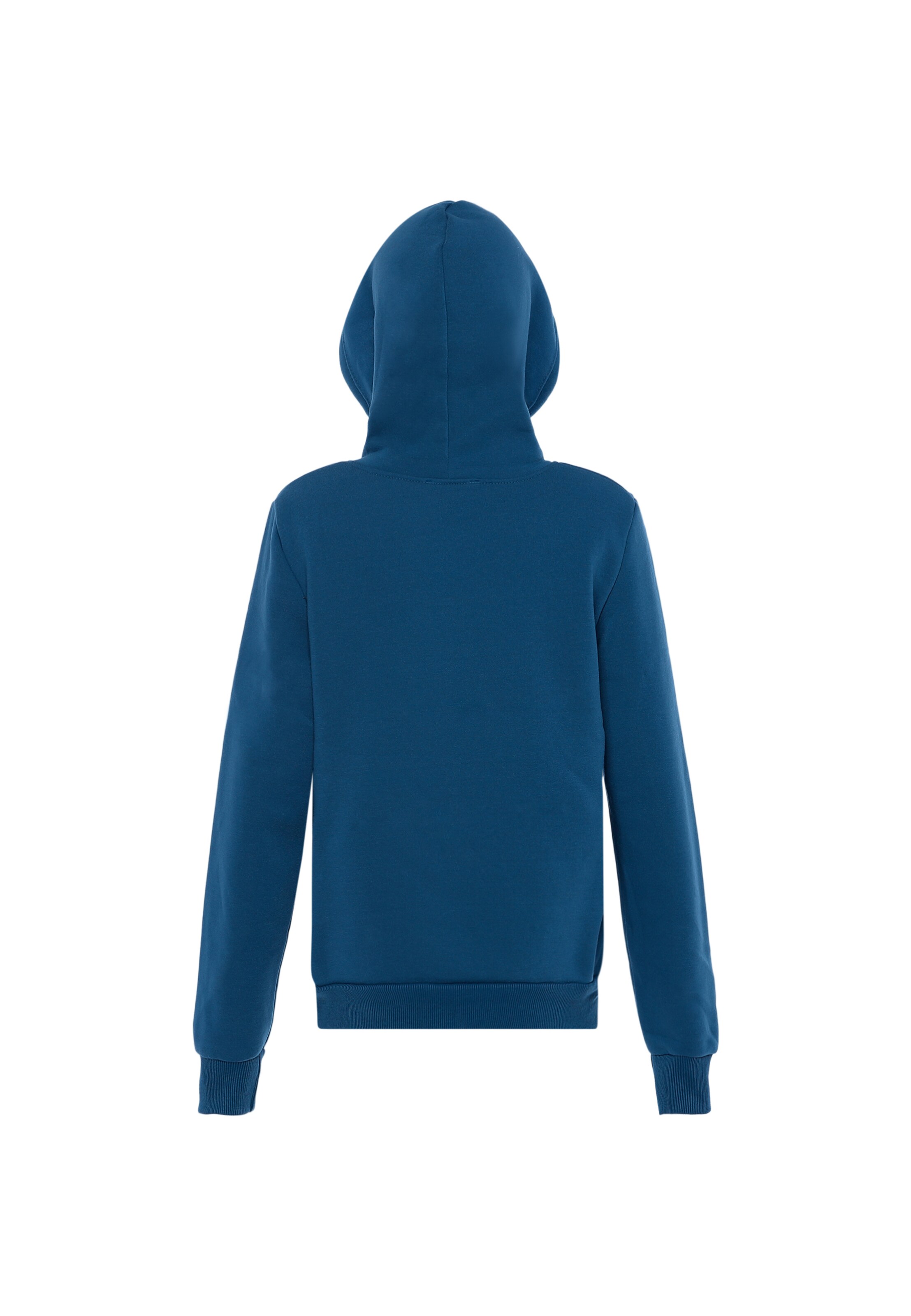 Exide Sweatshirt in Blue