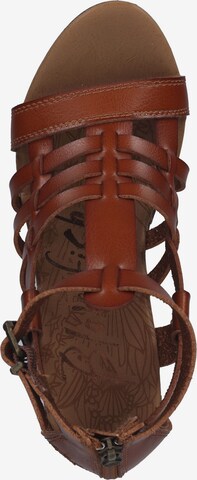 Blowfish Malibu Sandals in Brown