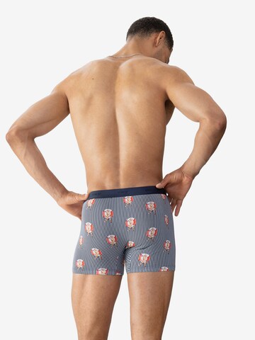 Mey Boxer shorts in Blue