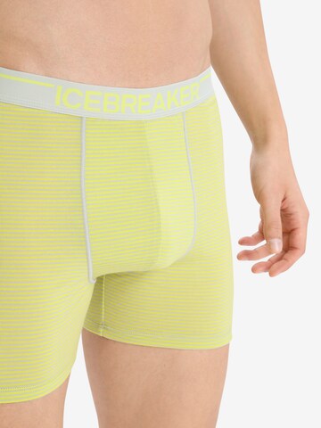 ICEBREAKER Athletic Underwear 'Anatomica' in Yellow