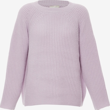 Jalene Sweater in Purple: front