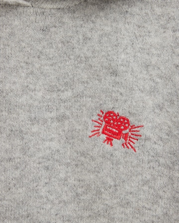 WE Fashion Pullover in Grau