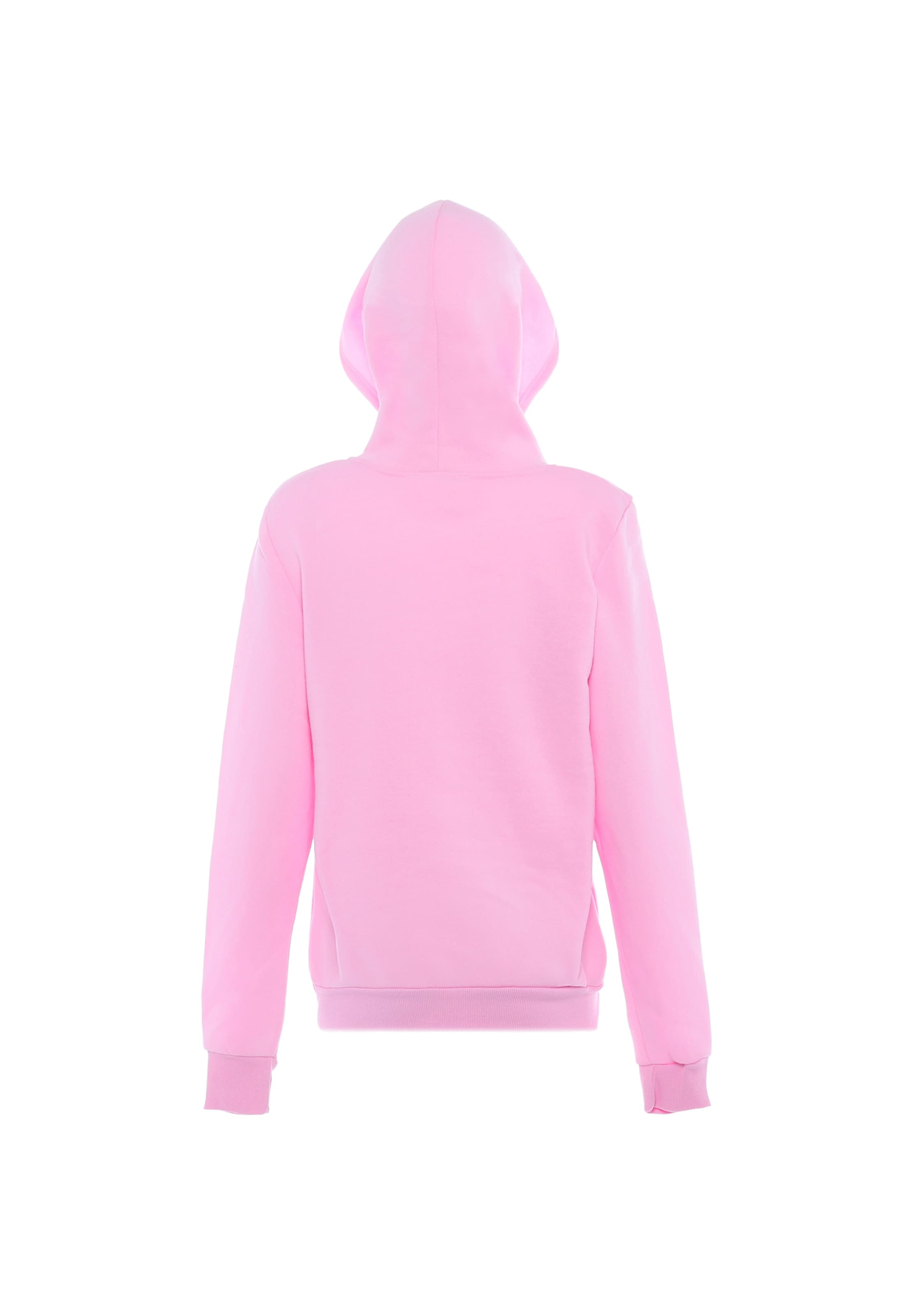 Exide Sweatshirt in Pink