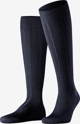 FALKE Knee High Socks 'Teppich im Schuh' in Blue: front