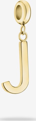 Liebeskind Berlin Pendant in Gold: front