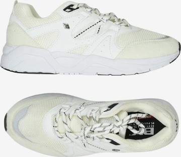 BRITISH KNIGHTS Sneaker 36 in : Vorderseite