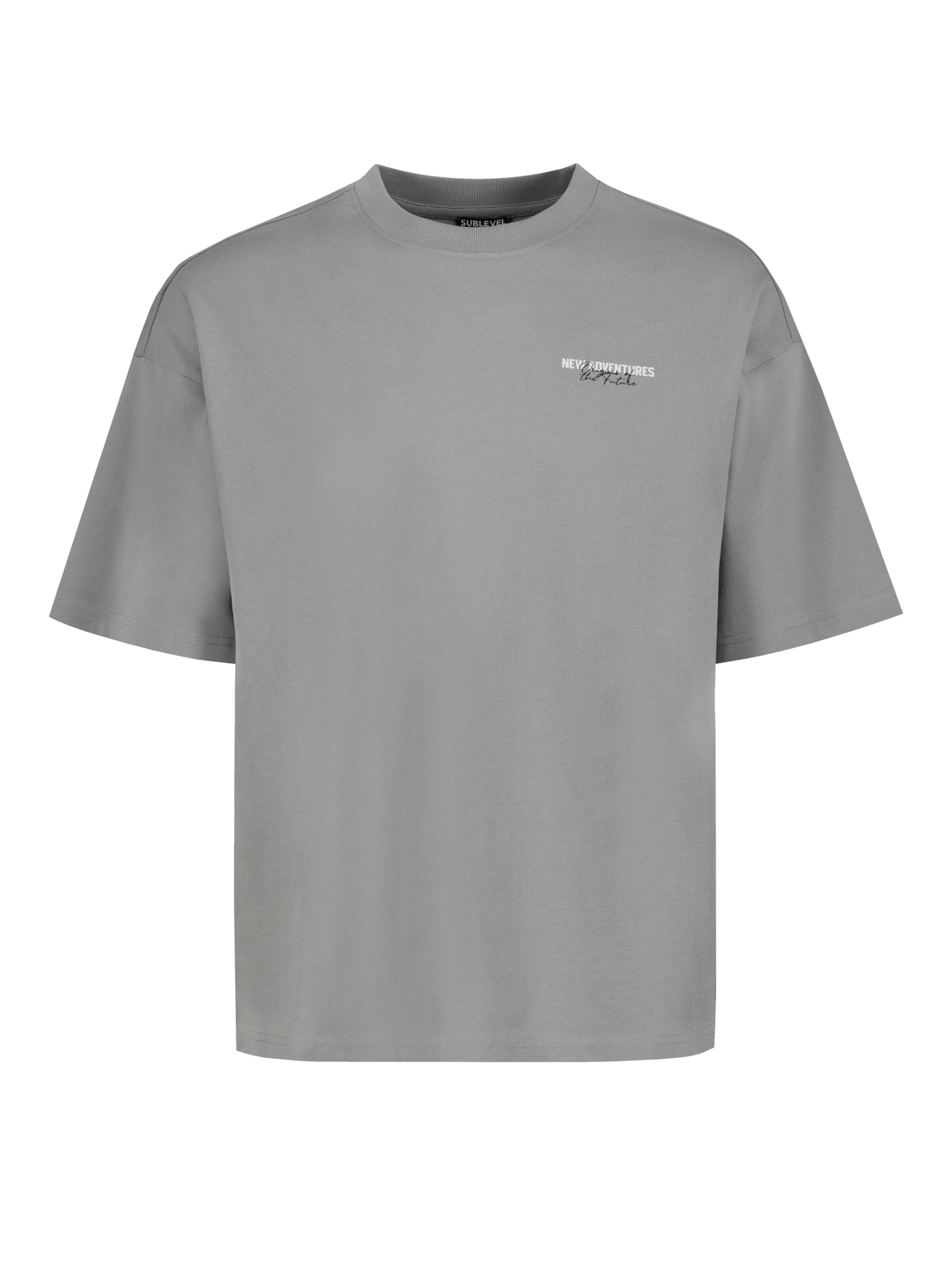 Sublevel Shirt in Grey: front