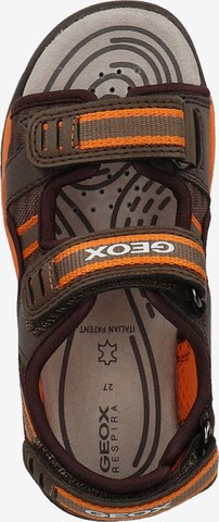 GEOX Sandals 'Borealis B. D' in Brown