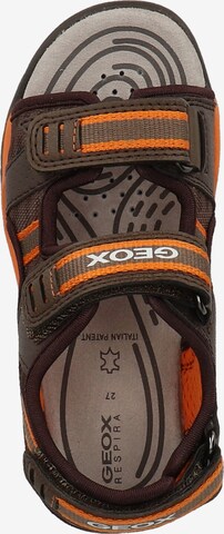 Sandales 'Borealis B. D' GEOX en marron