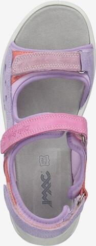 IMAC Hiking Sandals in Purple