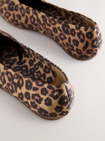 Next Ballerina in Bruin