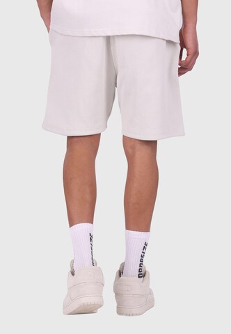 Dropsize Regular Pants in Grey