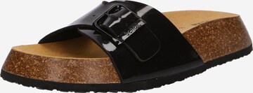 SCHOLL Mules 'NOELLE 24' in Black: front