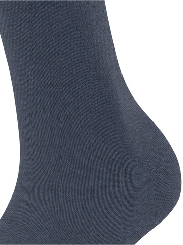 FALKE Socks 'Family' in Blue
