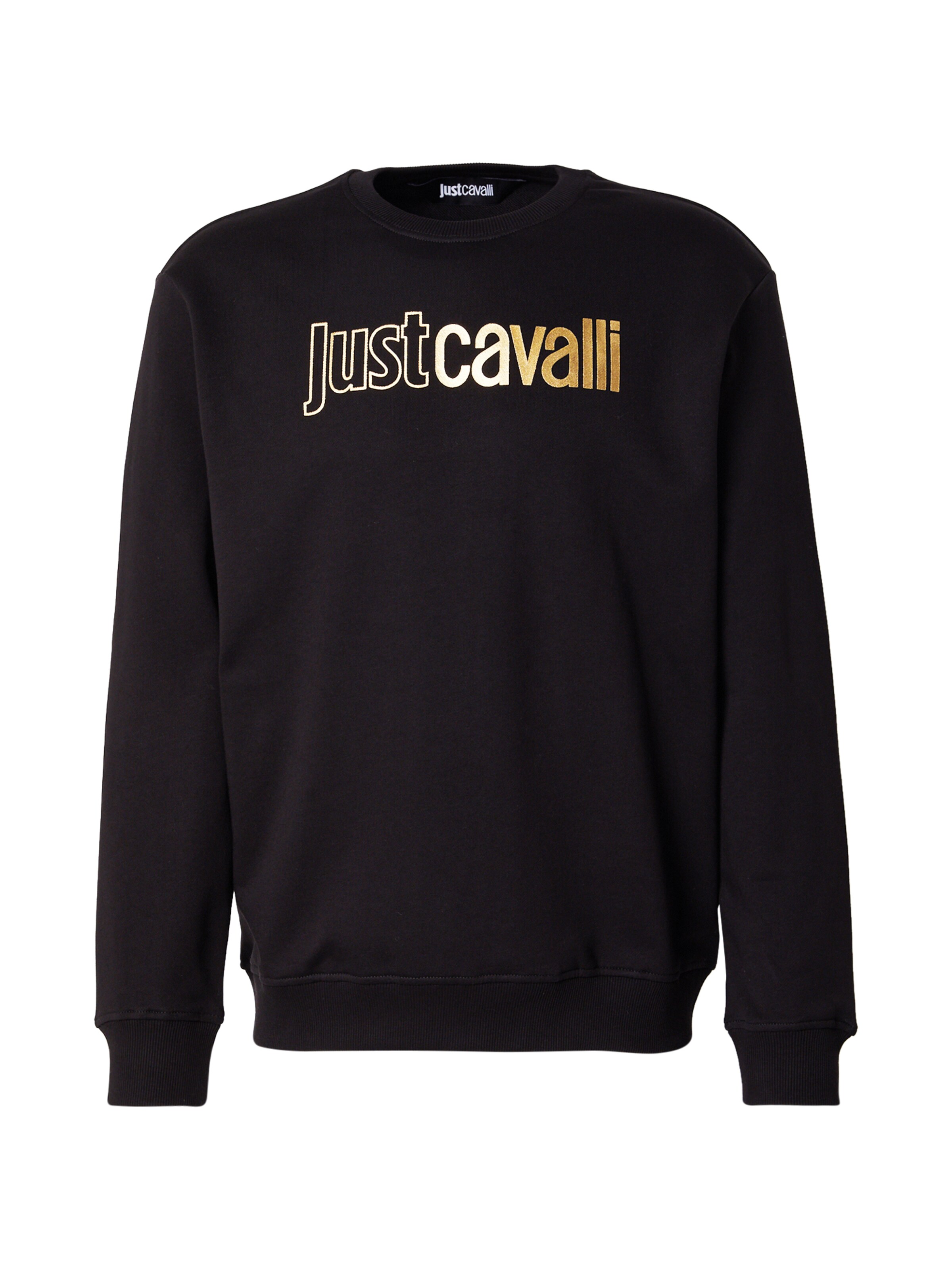 Just Cavalli Sweatshirt i svart: framsida