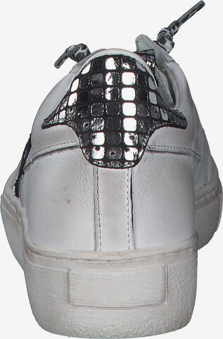 Baskets basses 'C1302' Cetti en gris