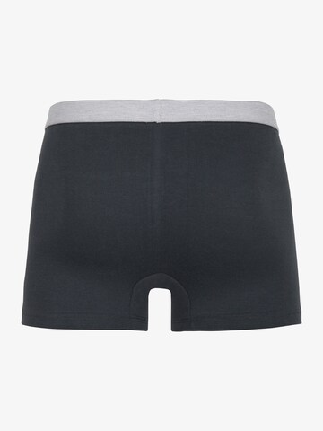 Erlich Textil Boxershorts 'Gustav' in Grau