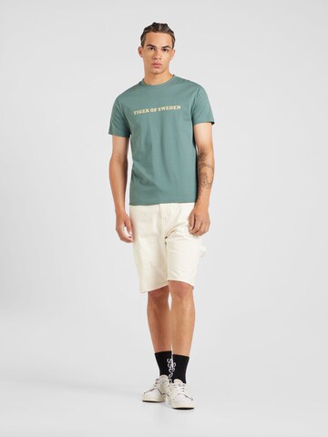 Tiger of Sweden Shirt 'DILLAN' in Green