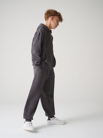 Brookland - Tapered Pantalón en gris