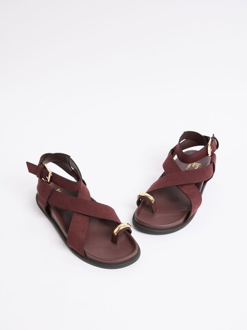 Friends Like These - Sandalias de dedo en rojo