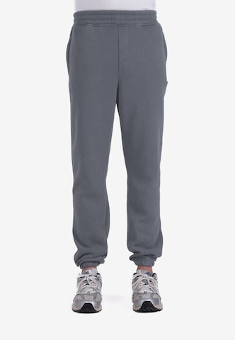 Prohibited Tapered Pants in Grey: front