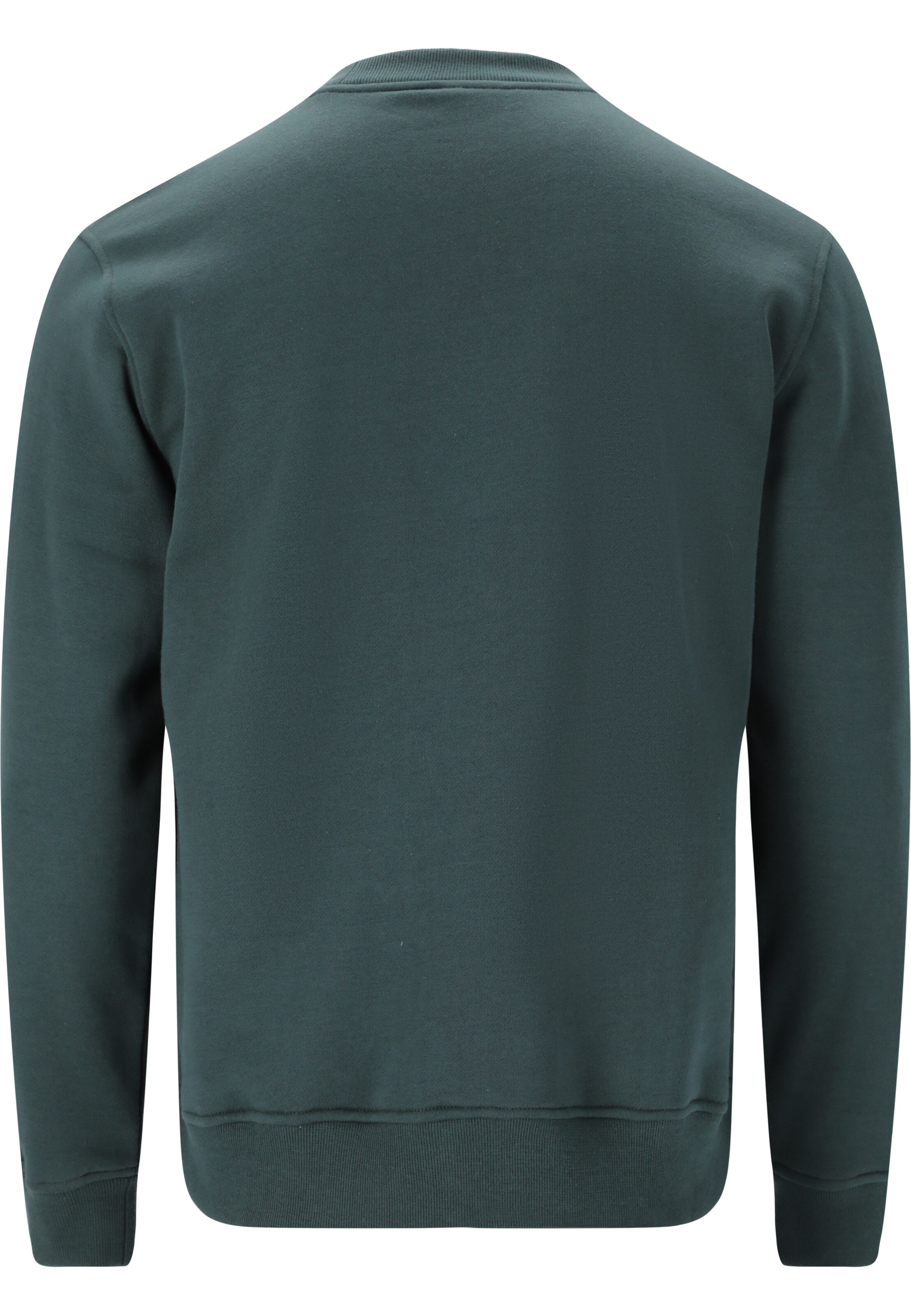Virtus Sweatshirt 'Harwick' in Green