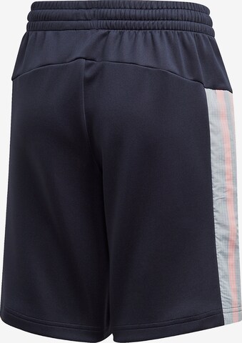 ADIDAS PERFORMANCE Regular Shorts in Blau