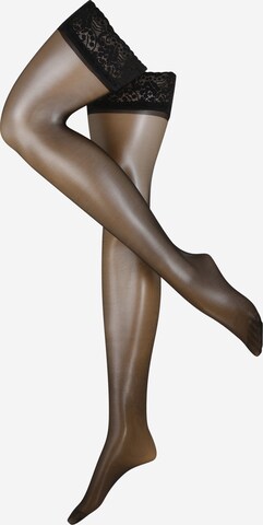 Bluebella Tights in Black: front