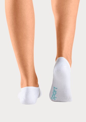 BENCH Athletic Socks in Blue