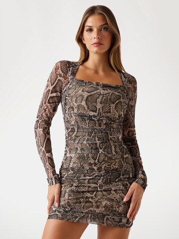 GUESS Dress in Brown: front