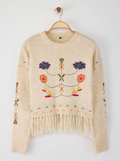 Trendyol Pull-over en écru / bleu foncé / vert / orange, Vue avec produit