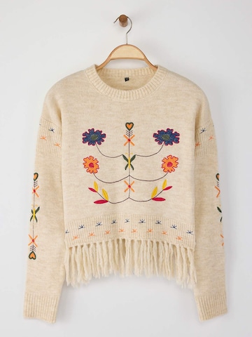 Trendyol Pullover in Beige: Vorderseite