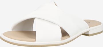 CAPRICE Пантолеты в Белый: спереди