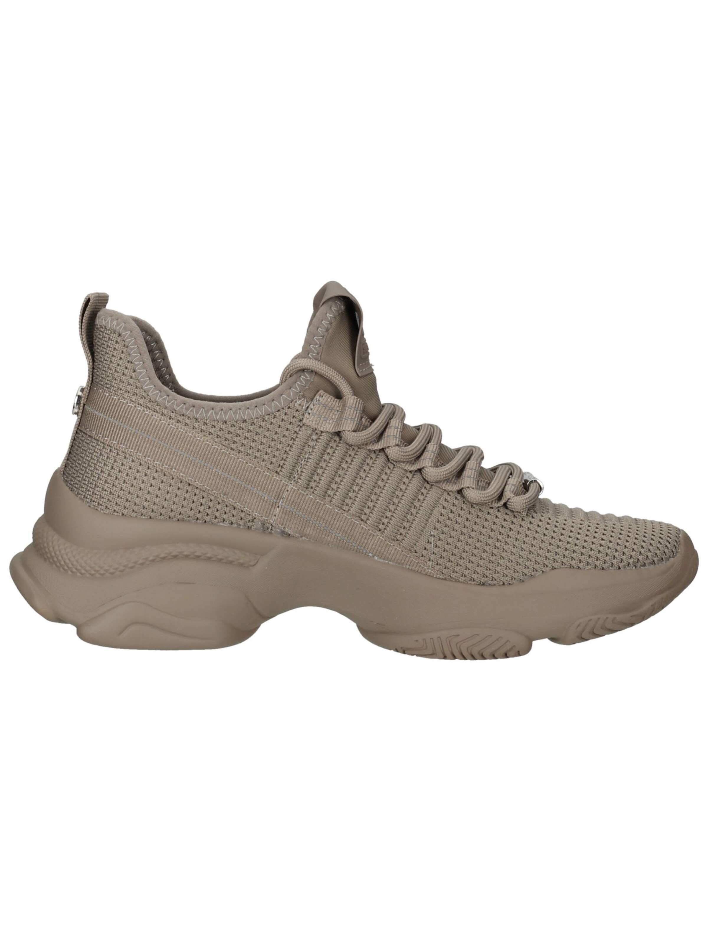 Sneaker bassa di STEVE MADDEN in grigio