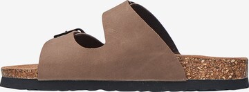 Cruz Mules 'Whitehill' in Brown