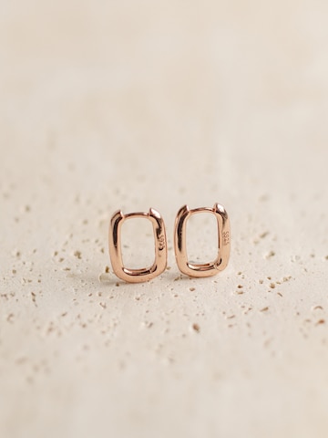 Hey Happiness Oorbellen 'Ellipse' in Goud