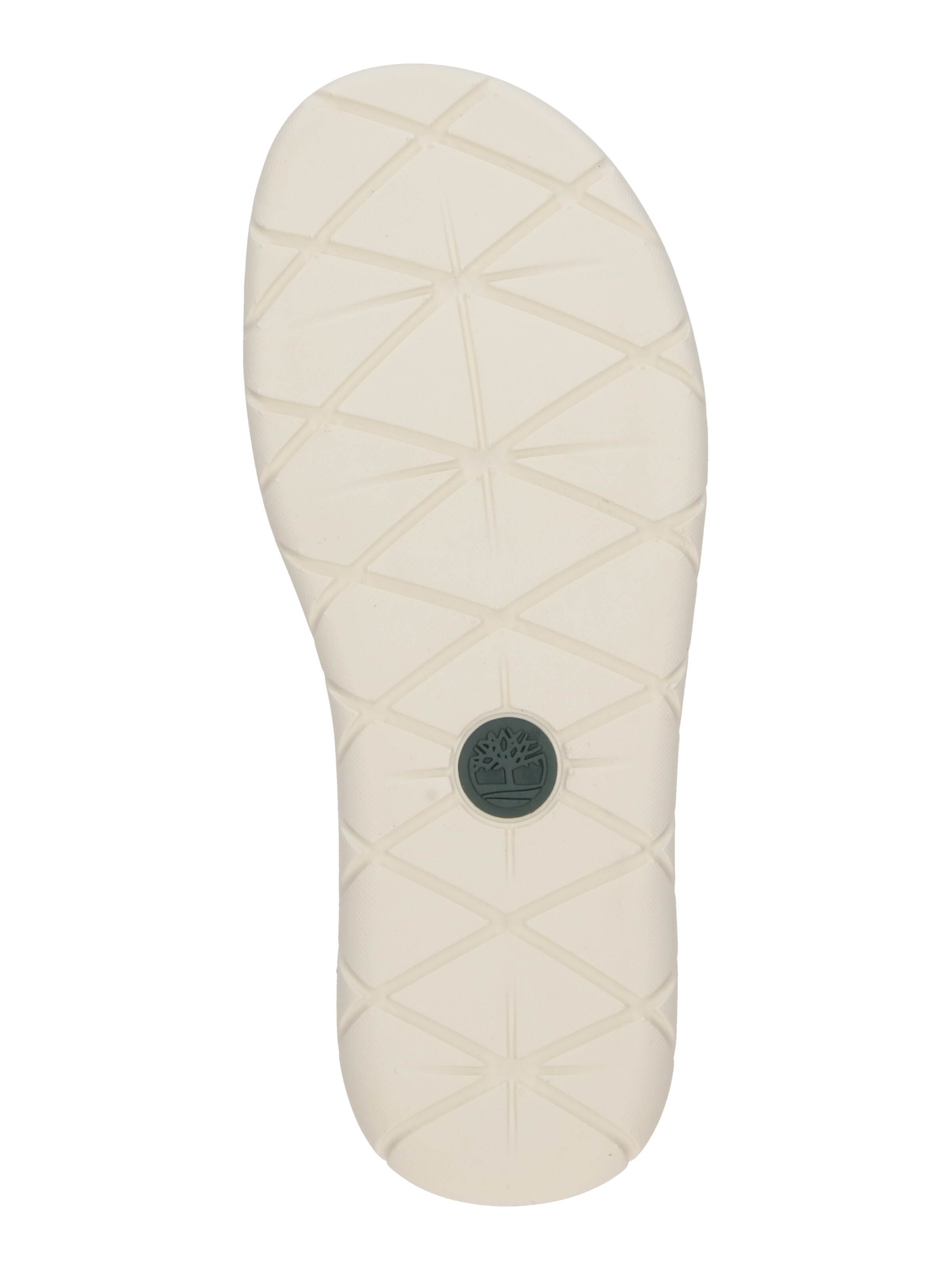 TIMBERLAND Sandaalid 'PERKINS', värv sinine