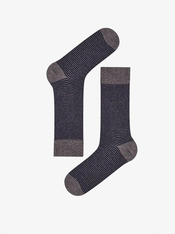 Penti Nogavice 'PENTI Pinestripe Baumwollsocken im 2er-Pack' | modra barva