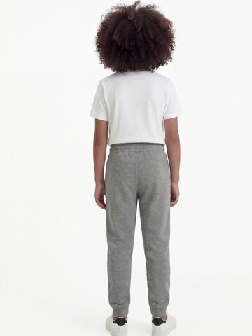Effilé Pantalon 'ESS No. 1' PUMA en gris
