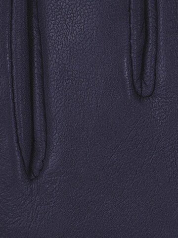 KESSLER Fingerhandschuhe‌‌‌‌‌ in Blau