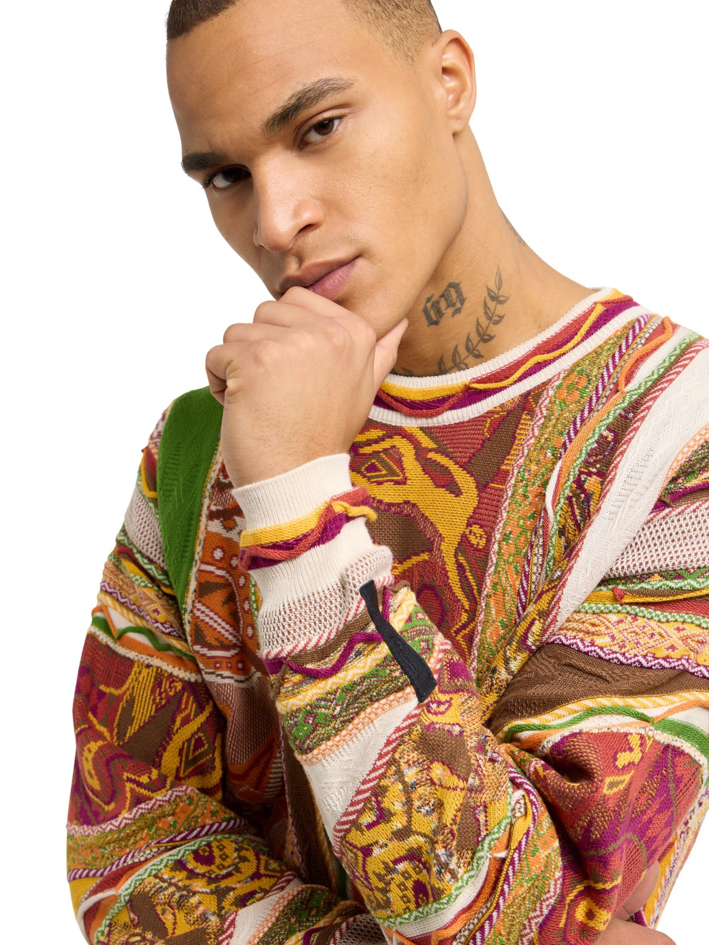 Carlo Colucci Sweater ' Deluggi ' in Mixed colours