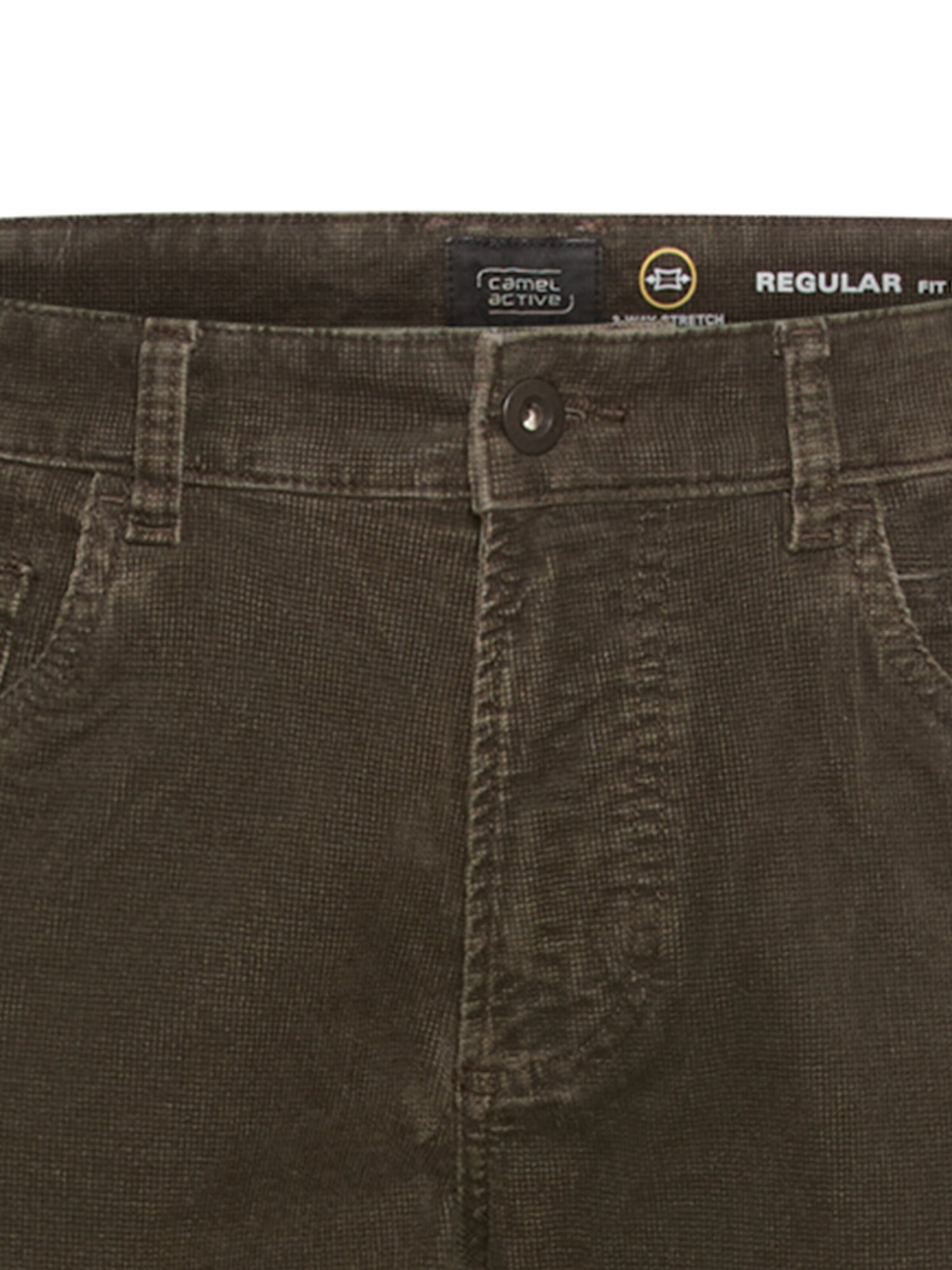 CAMEL ACTIVE Regular Chino Pants in Brown