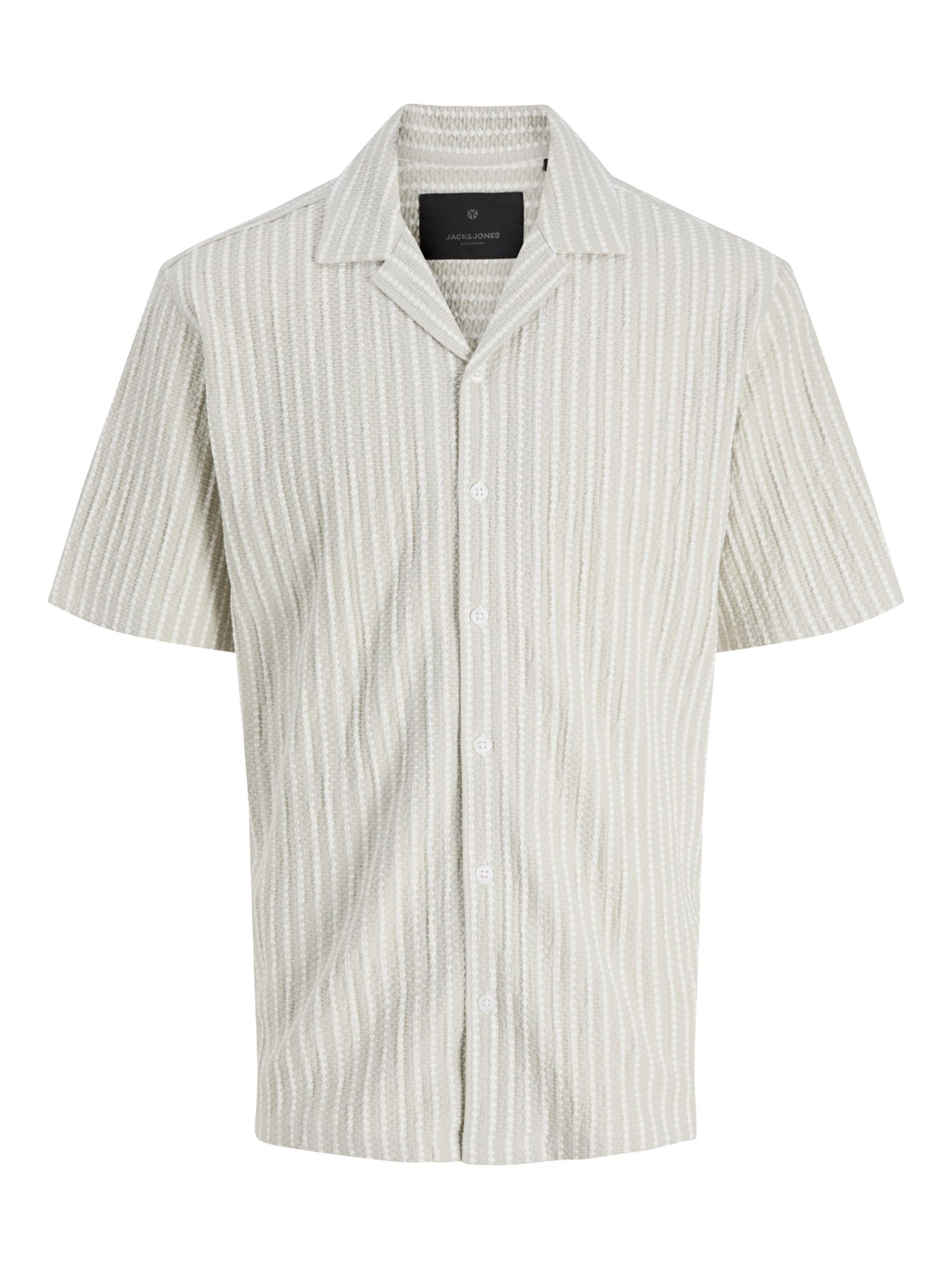Regular fit Camicia 'JPRBLADouglas' di JACK & JONES in grigio: frontale