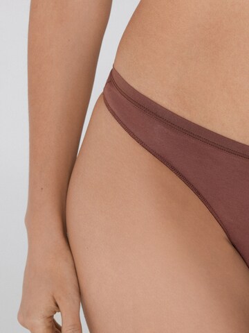 Tezenis Thong in Brown