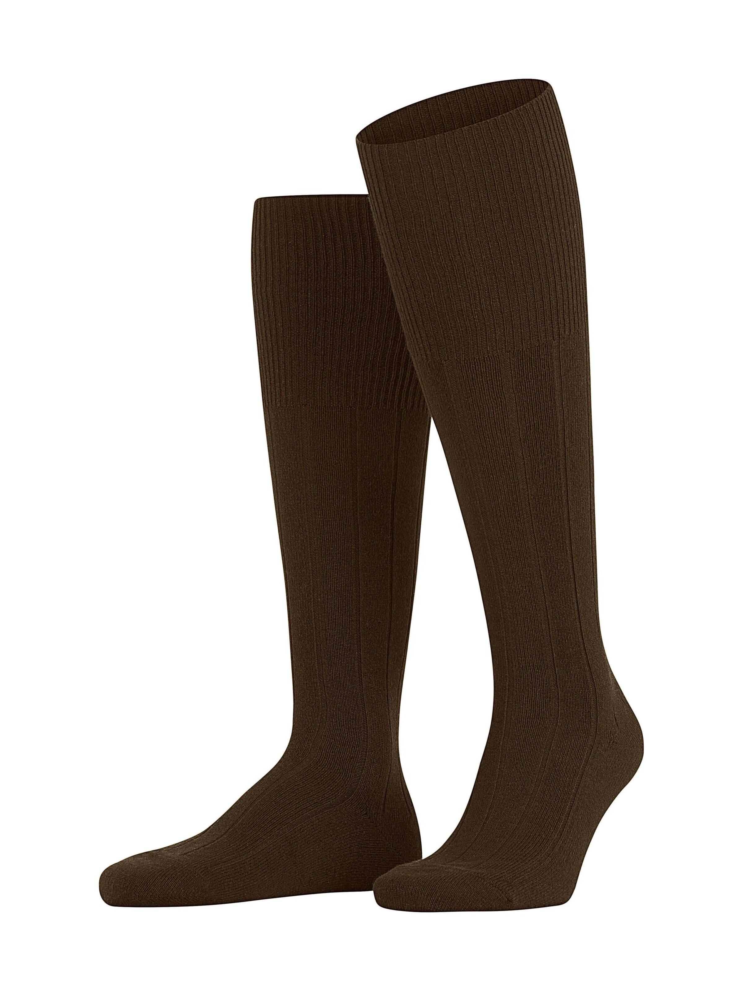 FALKE Knee High Socks 'Lhasa Rib' in Brown: front