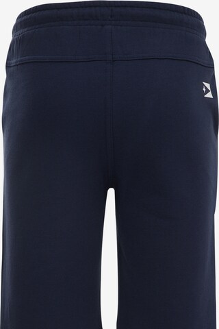 WE Fashion Regular Shorts in Blau